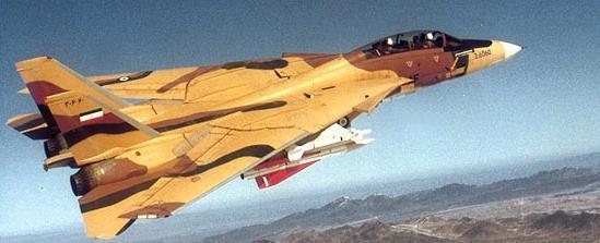 Iranian Air Force Grumman F-14 Tomcat in flight