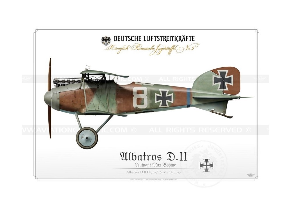 Afbeeldingsresultaat voor Albatros D.II