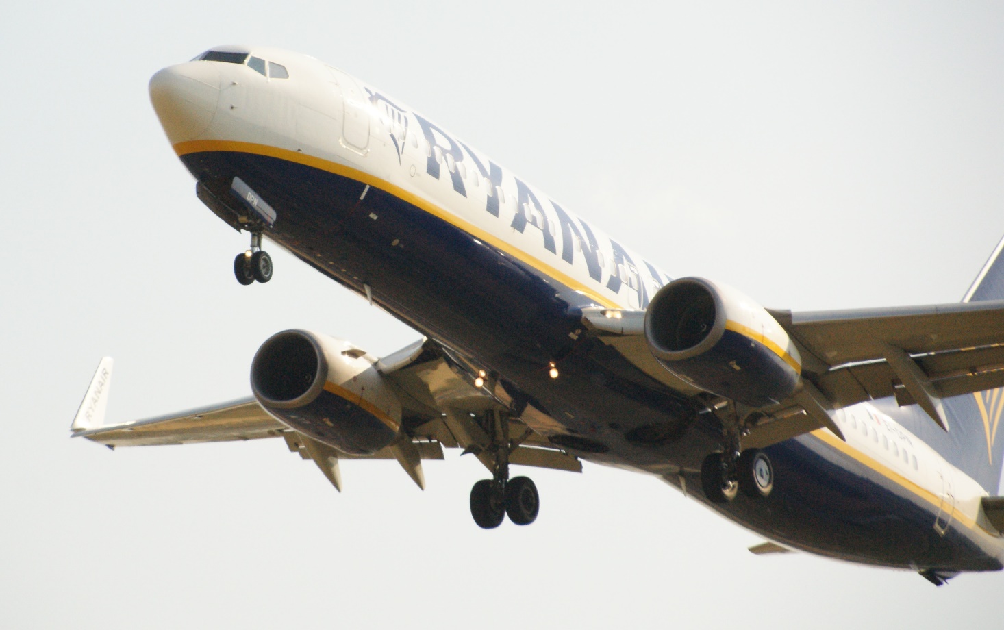 Boeing 737-800 | Ryanair | EI-DPN | Schiphol June 2023 | (c) bvdz