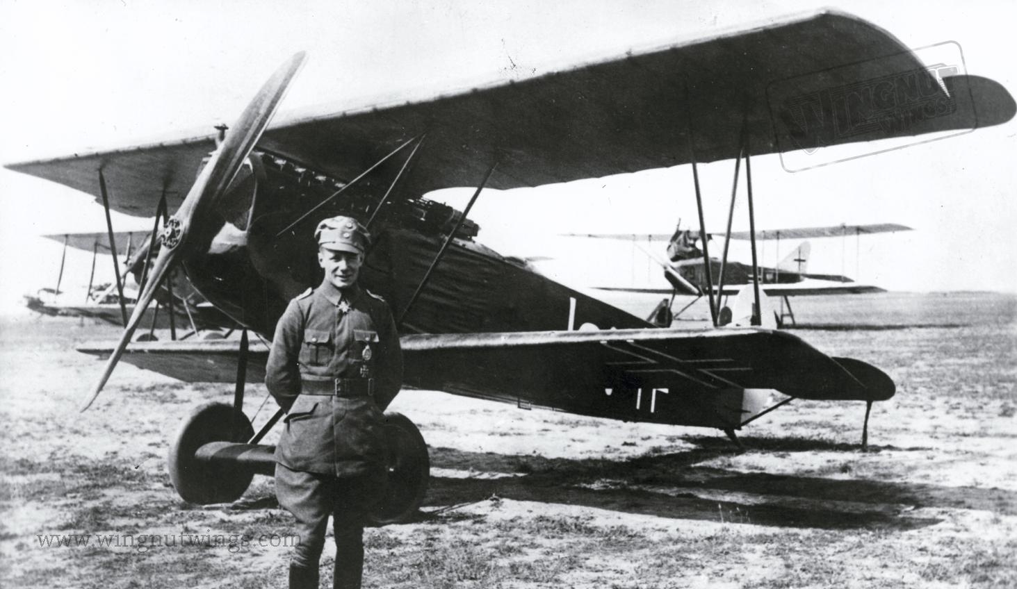 Fokker D Viif Aircraft Investigation Wwi Aircraft