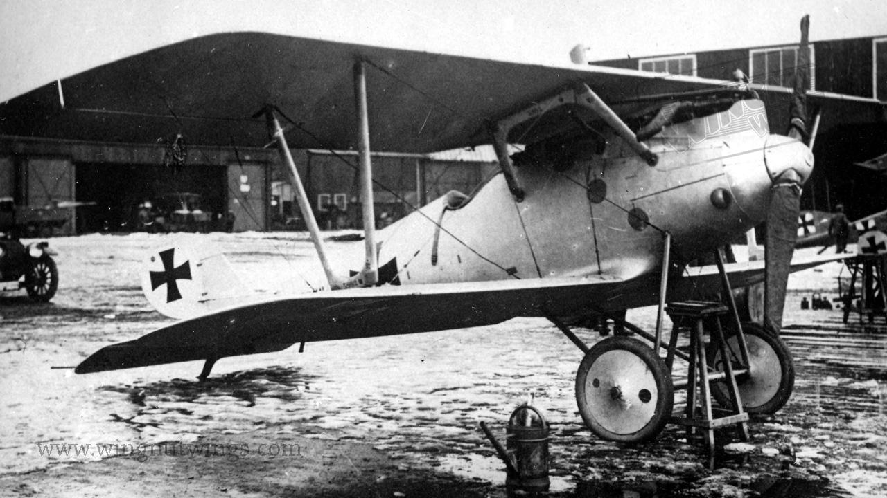 Afbeeldingsresultaat voor Pfalz D.IIIa