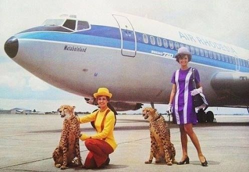 Air Rhodesia | Air zimbabwe, National airlines, Vintage airlines