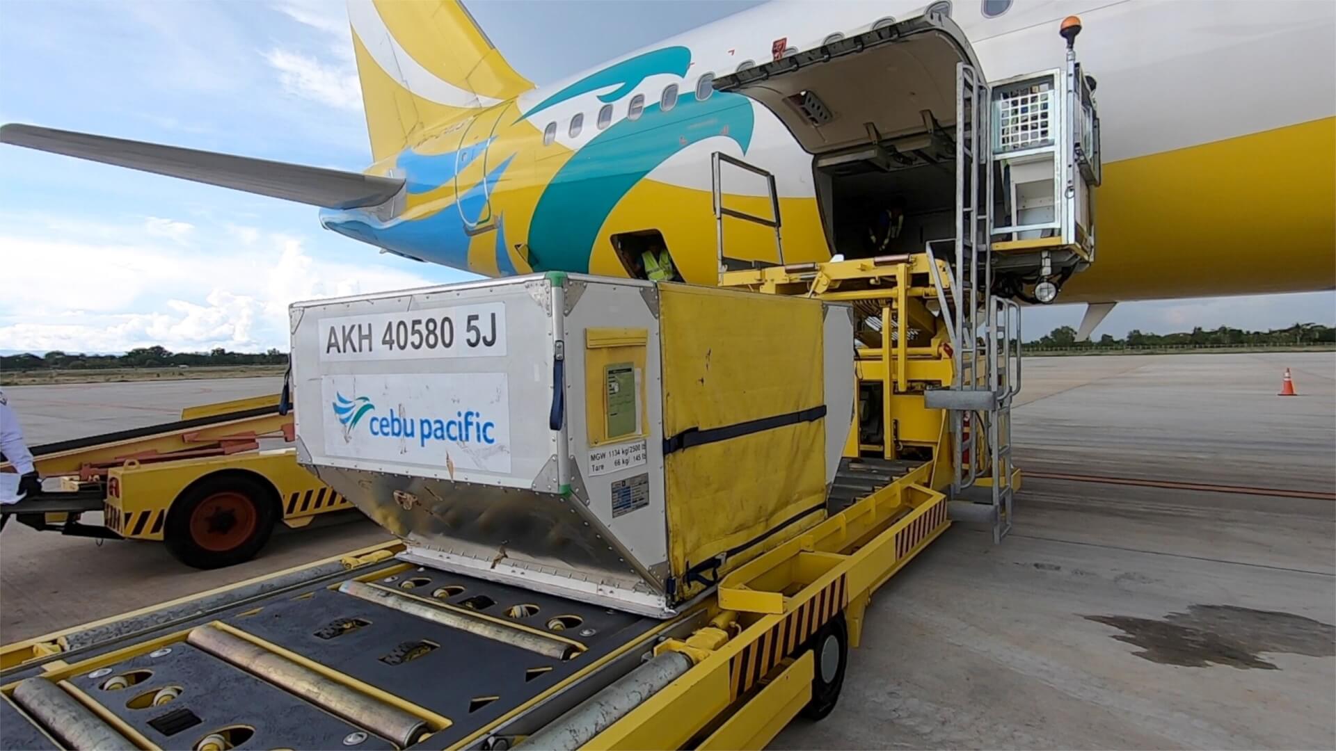 A321 AKH ULD loading in its belly | Cebu Pacific adopts Jettainer's ULD expertise