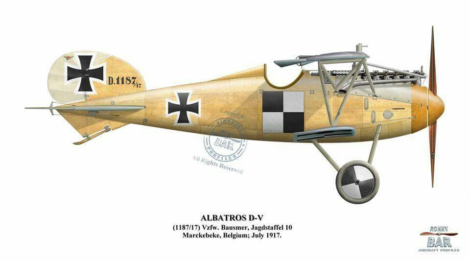 Afbeeldingsresultaat voor Albatros D.V