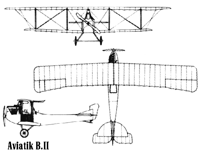 Aviatik B.II |aircraft Investigation|WWI Aircraft