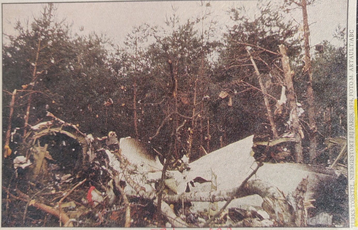 McDonnel Douglas DC-10-10 | Turkish Airlines | TC-JAV | picture of crash site in the bois d'Ermenonville