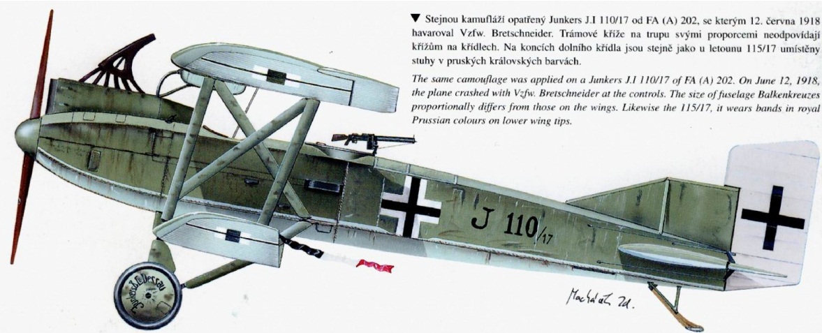 Afbeeldingsresultaat voor Junkers J.I